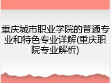 重庆城市职业学院的普通专业和特色专业详解(重庆职院专业解析)