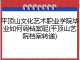 平顶山文化艺术职业学院毕业如何调档案呢(平顶山艺院档案转递)