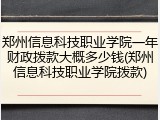 郑州信息科技职业学院一年财政拨款大概多少钱(郑州信息科技职业学院拨款)