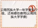 云南民族大学一年学费多少钱，还有哪些费用(云南民族大学学费)