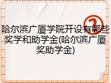 哈尔滨广厦学院开设有哪些奖学和助学金(哈尔滨广厦奖助学金)