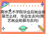 南京艺术学院毕业后就业前景怎么样，毕业生去向(南艺就业前景与去向)
