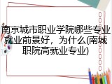 南京城市职业学院哪些专业就业前景好，为什么(南城职院高就业专业)