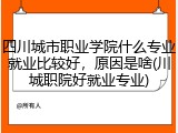 四川城市职业学院什么专业就业比较好，原因是啥(川城职院好就业专业)