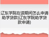 辽东学院在读期间怎么申请助学贷款(辽东学院助学贷款申请)