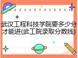 武汉工程科技学院要多少分才能进(武工院录取分数线)