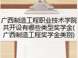 广西制造工程职业技术学院共开设有哪些类型奖学金(广西制造工程奖学金类别)