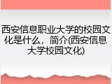 西安信息职业大学的校园文化是什么，简介(西安信息大学校园文化)