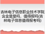 吉林电子信息职业技术学院含金量量吗，值得报吗(吉林电子信息值得报考吗)