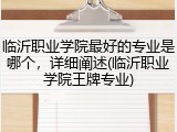 临沂职业学院最好的专业是哪个，详细阐述(临沂职业学院王牌专业)