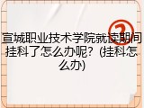 宣城职业技术学院就读期间挂科了怎么办呢？(挂科怎么办)