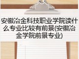安徽冶金科技职业学院读什么专业比较有前景(安徽冶金学院前景专业)