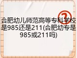 合肥幼儿师范高等专科学校是985还是211(合肥幼专是985或211吗)