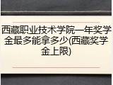 西藏职业技术学院一年奖学金最多能拿多少(西藏奖学金上限)