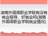 湖南外国语职业学院有没有就业指导，好就业吗(湖南外国语职业学院就业情况)