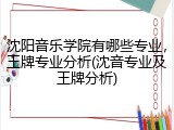 沈阳音乐学院有哪些专业，王牌专业分析(沈音专业及王牌分析)
