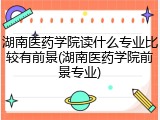 湖南医药学院读什么专业比较有前景(湖南医药学院前景专业)