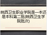 皖西卫生职业学院是一本还是本科第二批(皖西卫生学院批次)