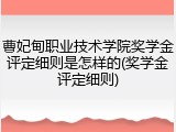 曹妃甸职业技术学院奖学金评定细则是怎样的(奖学金评定细则)
