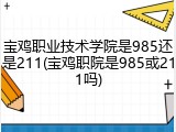 宝鸡职业技术学院是985还是211(宝鸡职院是985或211吗)