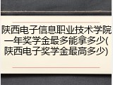 陕西电子信息职业技术学院一年奖学金最多能拿多少(陕西电子奖学金最高多少)