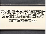 西安财经大学行知学院读什么专业比较有前景(西安行知学院前景专业)