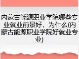 内蒙古能源职业学院哪些专业就业前景好，为什么(内蒙古能源职业学院好就业专业)