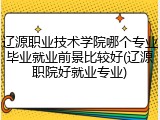 辽源职业技术学院哪个专业毕业就业前景比较好(辽源职院好就业专业)