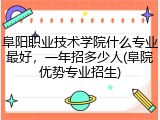 阜阳职业技术学院什么专业最好，一年招多少人(阜院优势专业招生)