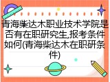 青海柴达木职业技术学院是否有在职研究生,报考条件如何(青海柴达木在职研条件)
