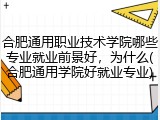 合肥通用职业技术学院哪些专业就业前景好，为什么(合肥通用学院好就业专业)