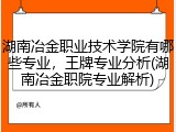 湖南冶金职业技术学院有哪些专业，王牌专业分析(湖南冶金职院专业解析)