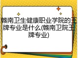 赣南卫生健康职业学院的王牌专业是什么(赣南卫院王牌专业)