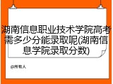 湖南信息职业技术学院高考需多少分能录取呢(湖南信息学院录取分数)