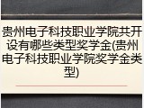 贵州电子科技职业学院共开设有哪些类型奖学金(贵州电子科技职业学院奖学金类型)