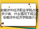 安徽涉外经济职业学院占地多少亩，什么情况下成立(安徽涉外经济学院简介)