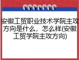 安徽工贸职业技术学院主攻方向是什么，怎么样(安徽工贸学院主攻方向)