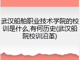 武汉船舶职业技术学院的校训是什么,有何历史(武汉船院校训沿革)