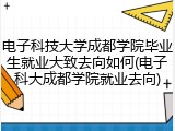 电子科技大学成都学院毕业生就业大致去向如何(电子科大成都学院就业去向)