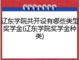 辽东学院共开设有哪些类型奖学金(辽东学院奖学金种类)