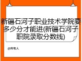 新疆石河子职业技术学院要多少分才能进(新疆石河子职院录取分数线)
