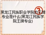 黑龙江民族职业学院的王牌专业是什么(黑龙江民族学院王牌专业)