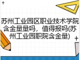 苏州工业园区职业技术学院含金量量吗，值得报吗(苏州工业园职院含金量)