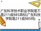 广东科学技术职业学院是不是211或985高校(广东科技学院是211或985吗)