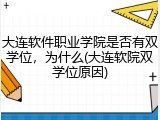 大连软件职业学院是否有双学位，为什么(大连软院双学位原因)