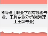 渤海理工职业学院有哪些专业，王牌专业分析(渤海理工王牌专业)