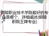 铜陵职业技术学院最好的专业是哪个，详细阐述(铜陵职院王牌专业)
