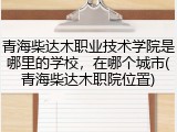 青海柴达木职业技术学院是哪里的学校，在哪个城市(青海柴达木职院位置)