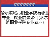 哈尔滨城市职业学院有哪些专业，就业前景如何(哈尔滨职业学院专业就业)