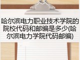 哈尔滨电力职业技术学院的院校代码和邮编是多少(哈尔滨电力学院代码邮编)